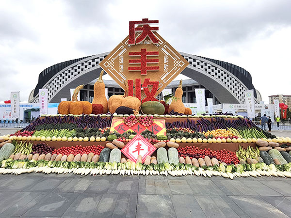 金狮贵宾会_尊贵显赫