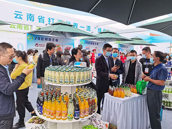 金狮贵宾会_尊贵显赫
