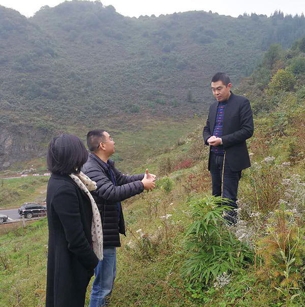金狮贵宾会_尊贵显赫